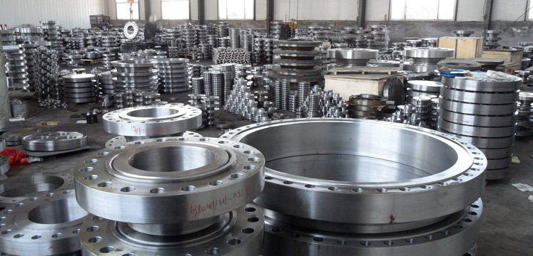 Stainless Steel Flanges